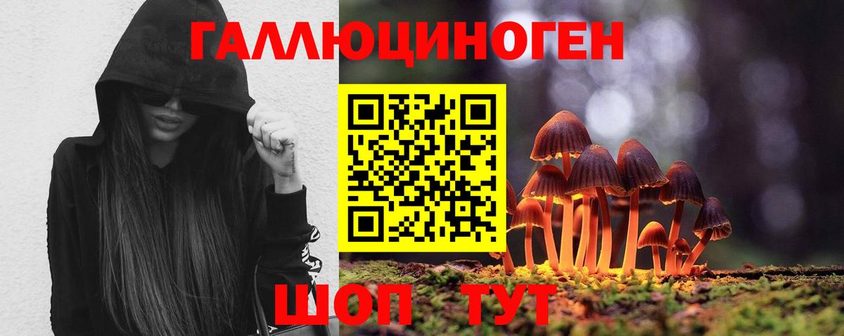 Галлюциногенные грибы Cubensis Нефтекумск
